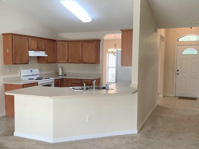 4105 SW 133RD LN, OCALA, FL, 34473