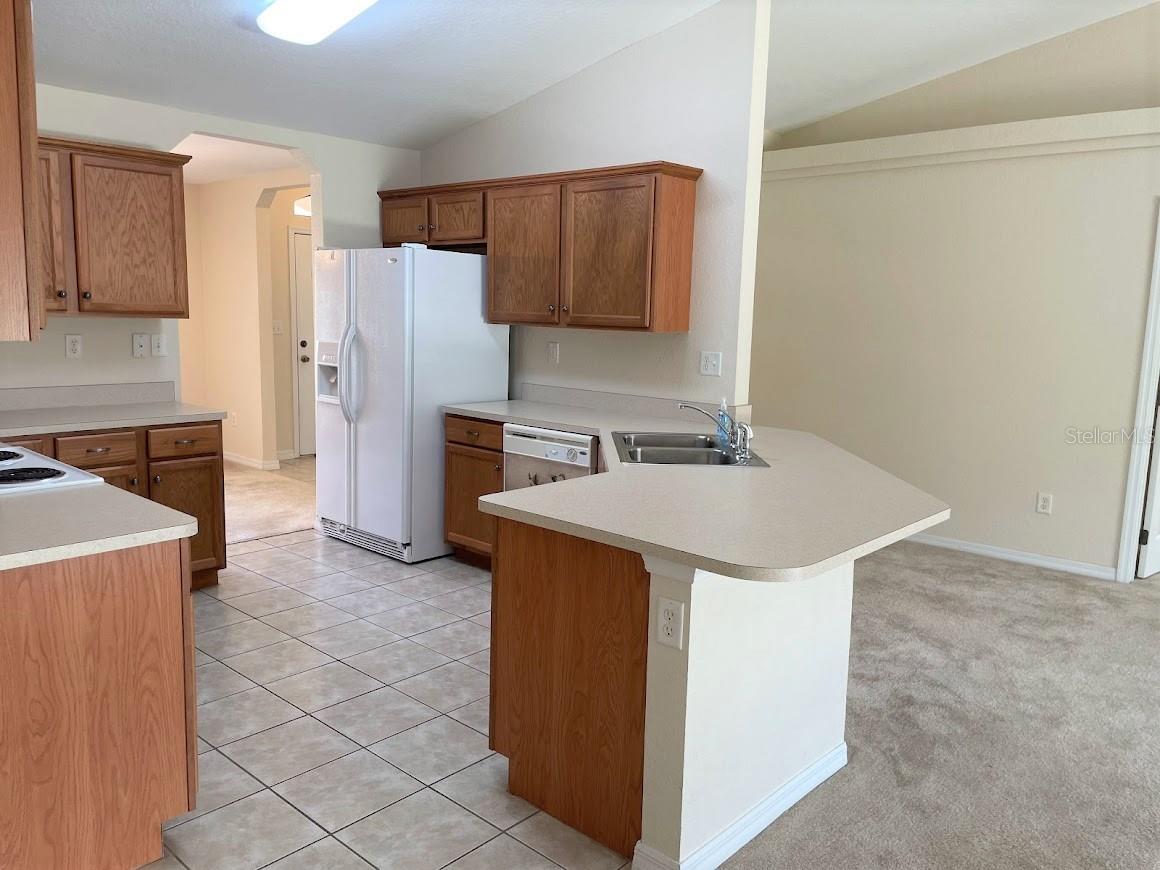 4105 SW 133RD LN, OCALA, FL, 34473