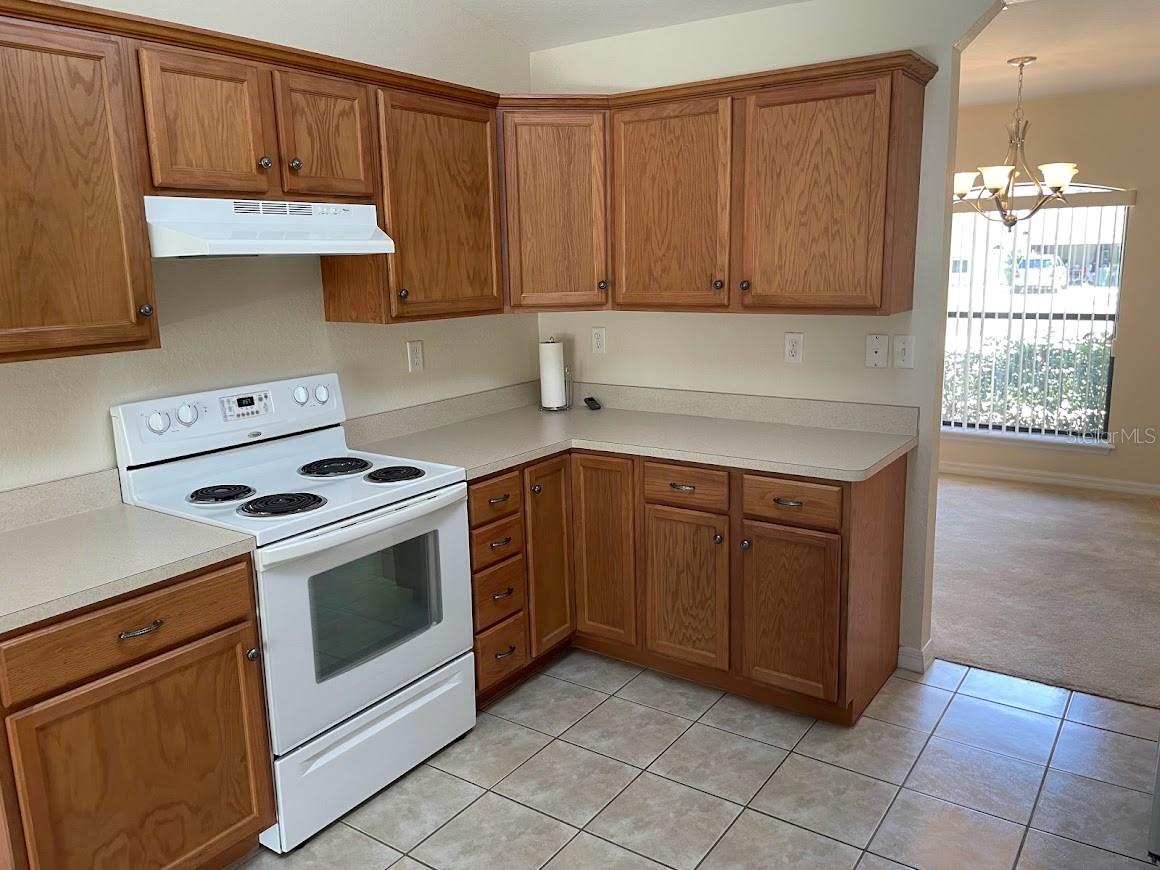 4105 SW 133RD LN, OCALA, FL, 34473