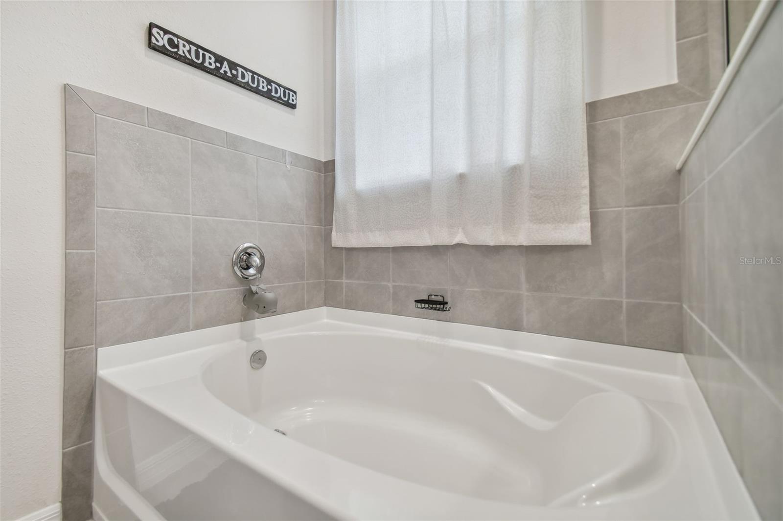 10058 SHORELINE VIEW WAY, WESLEY CHAPEL, FL, 33545