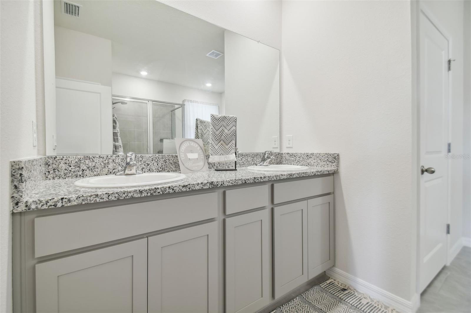 10058 SHORELINE VIEW WAY, WESLEY CHAPEL, FL, 33545