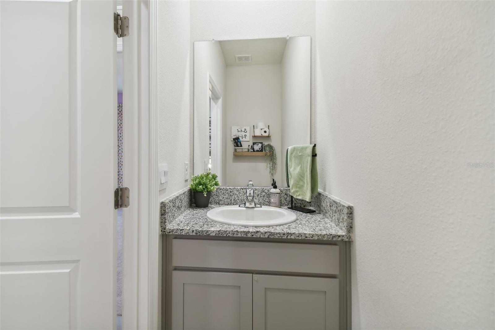 10058 SHORELINE VIEW WAY, WESLEY CHAPEL, FL, 33545