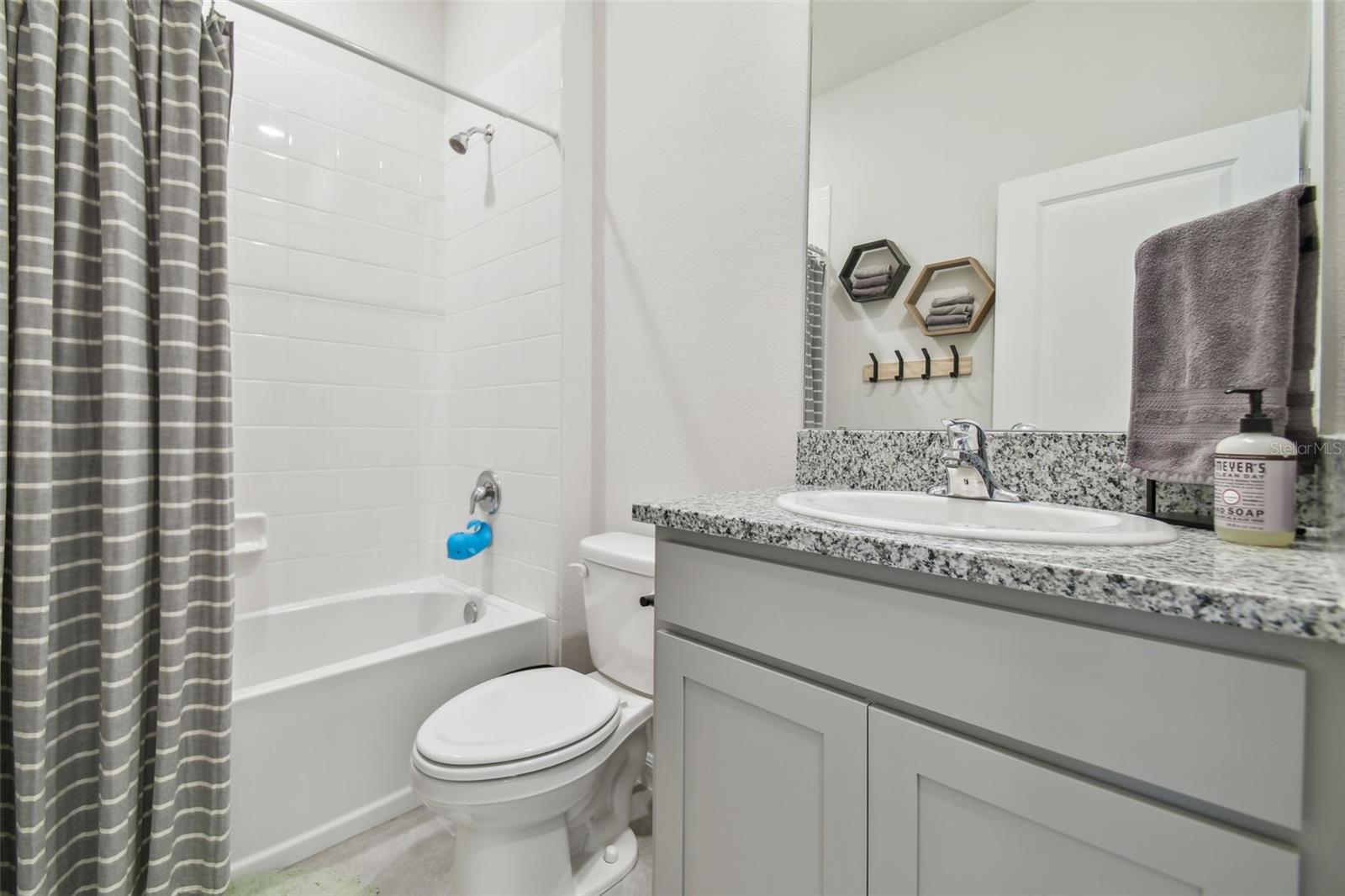 10058 SHORELINE VIEW WAY, WESLEY CHAPEL, FL, 33545