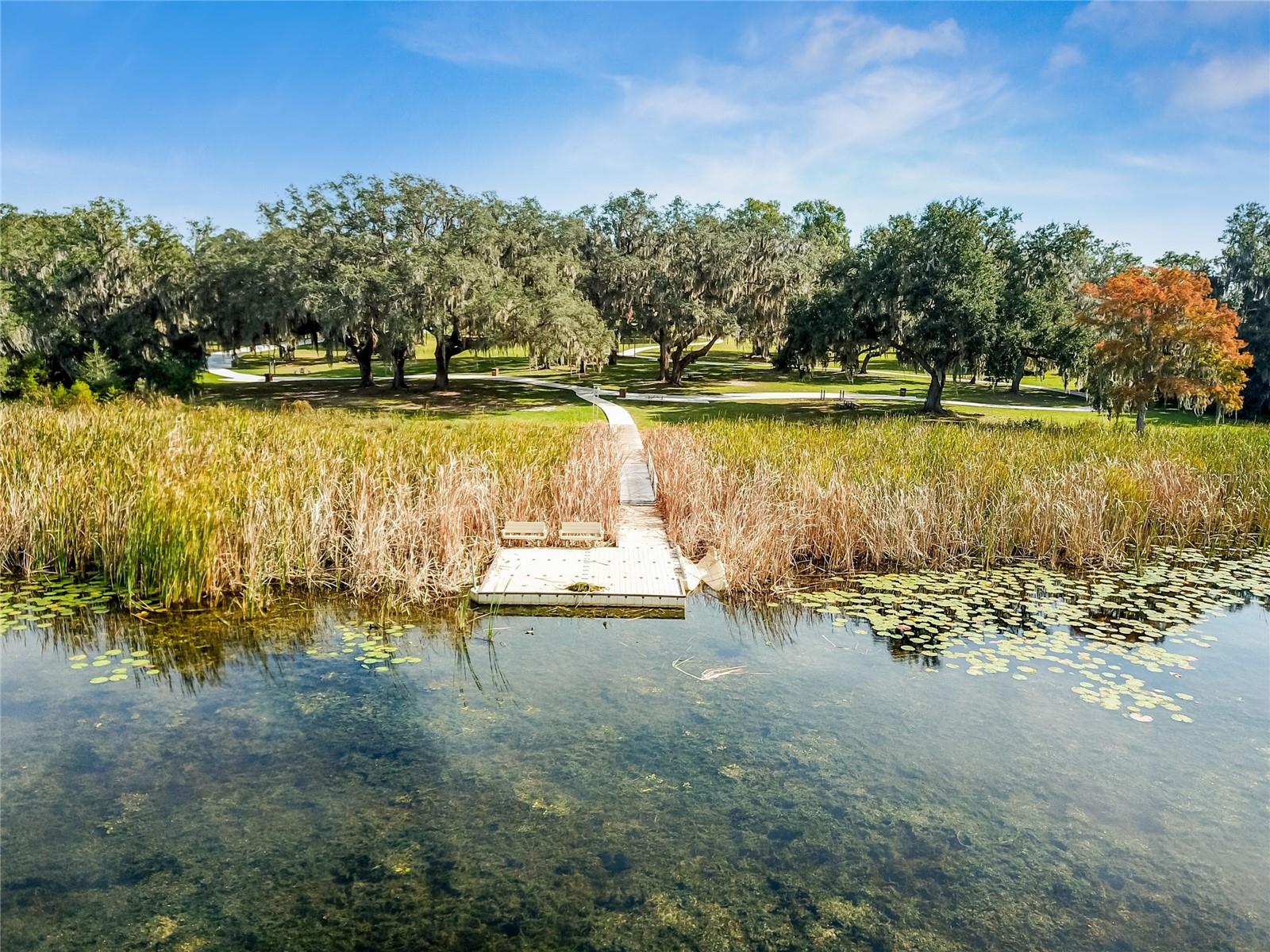 10058 SHORELINE VIEW WAY, WESLEY CHAPEL, FL, 33545