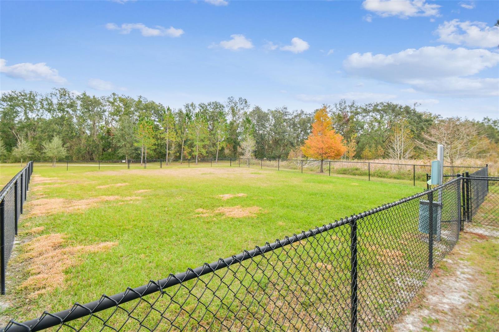 2950 LYTTON HALL DR, ZEPHYRHILLS, FL, 33540