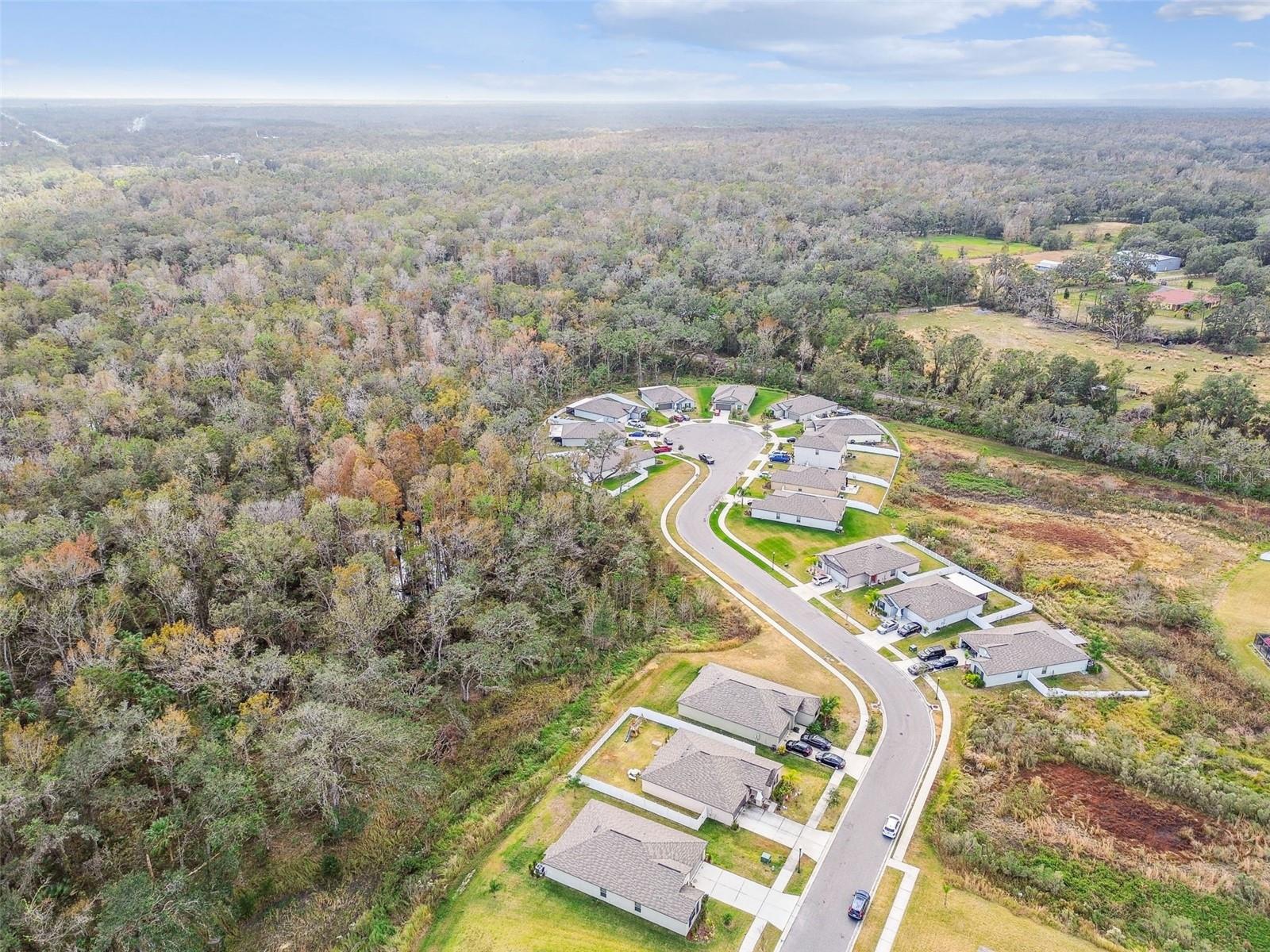 2950 LYTTON HALL DR, ZEPHYRHILLS, FL, 33540