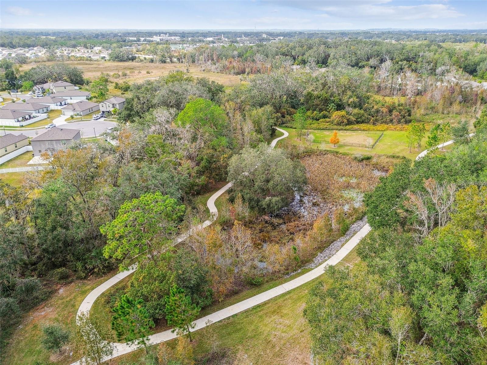 2950 LYTTON HALL DR, ZEPHYRHILLS, FL, 33540