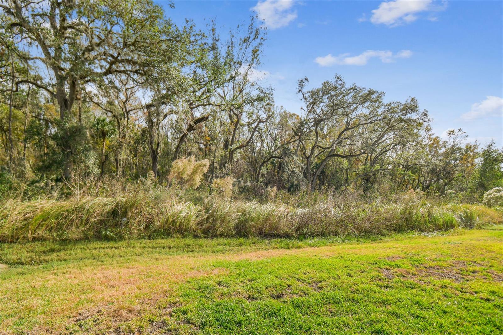 2950 LYTTON HALL DR, ZEPHYRHILLS, FL, 33540