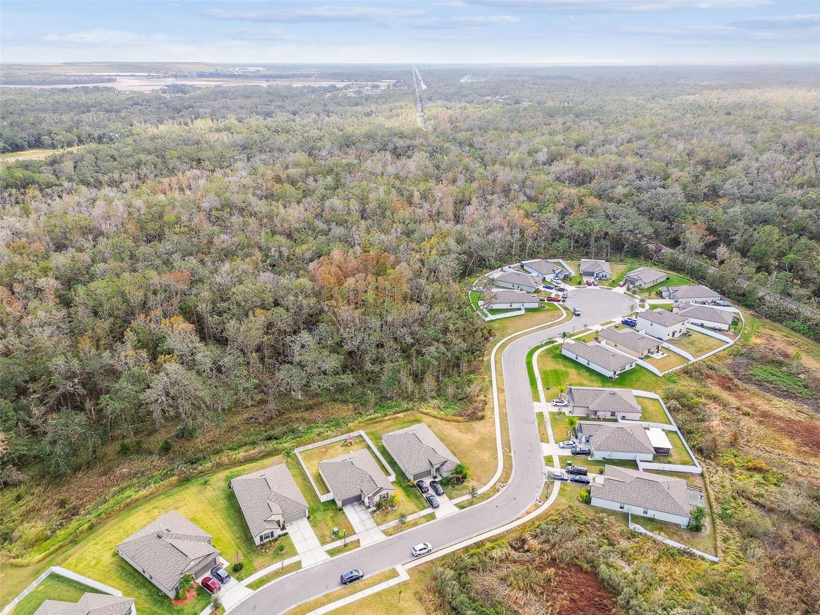 2950 LYTTON HALL DR, ZEPHYRHILLS, FL, 33540