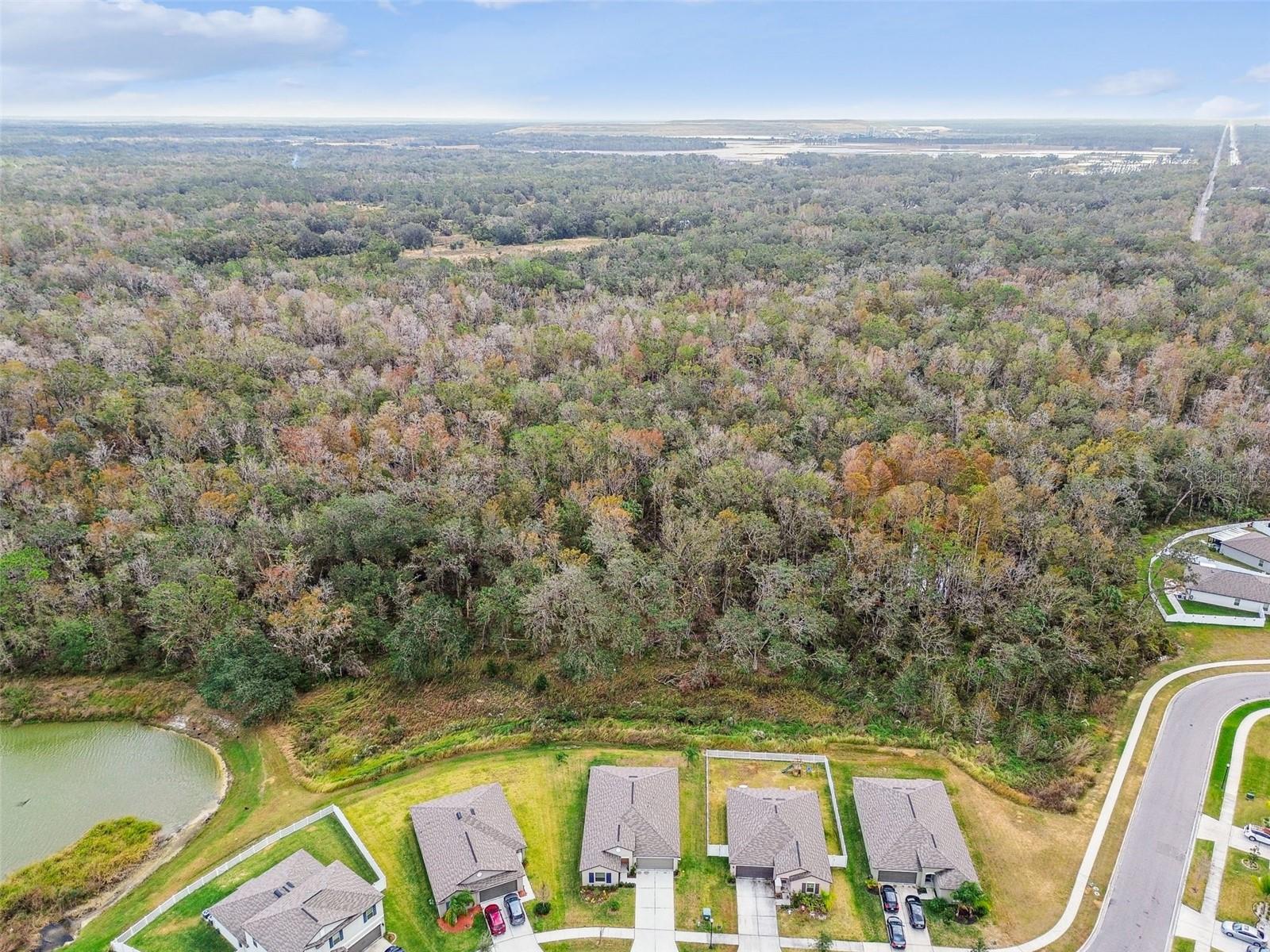 2950 LYTTON HALL DR, ZEPHYRHILLS, FL, 33540