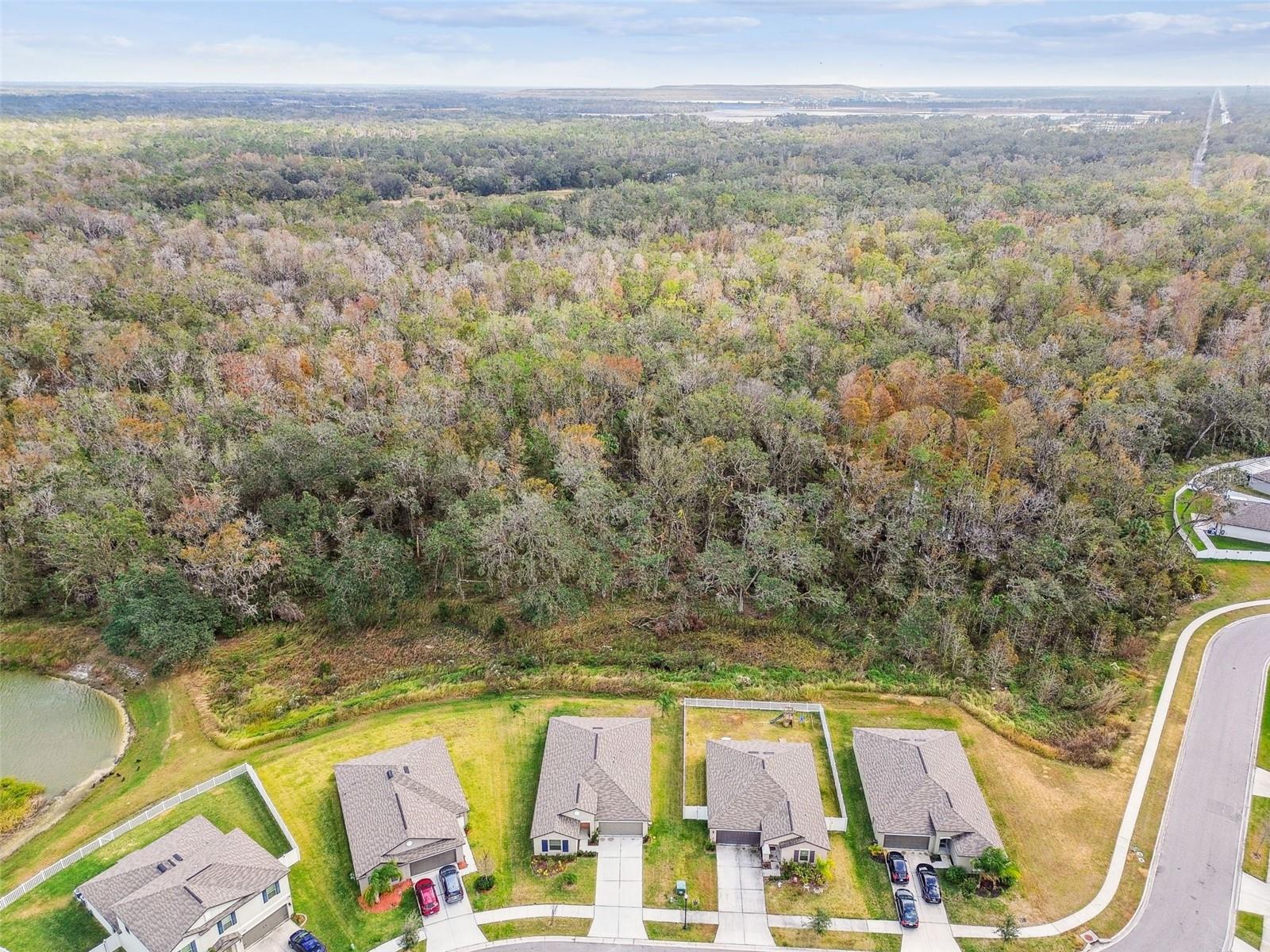 2950 LYTTON HALL DR, ZEPHYRHILLS, FL, 33540