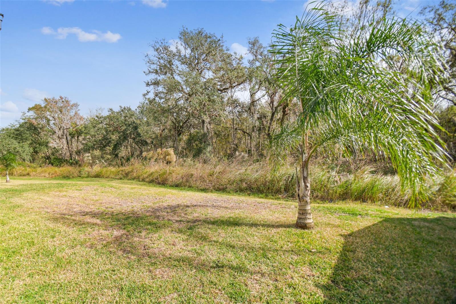 2950 LYTTON HALL DR, ZEPHYRHILLS, FL, 33540