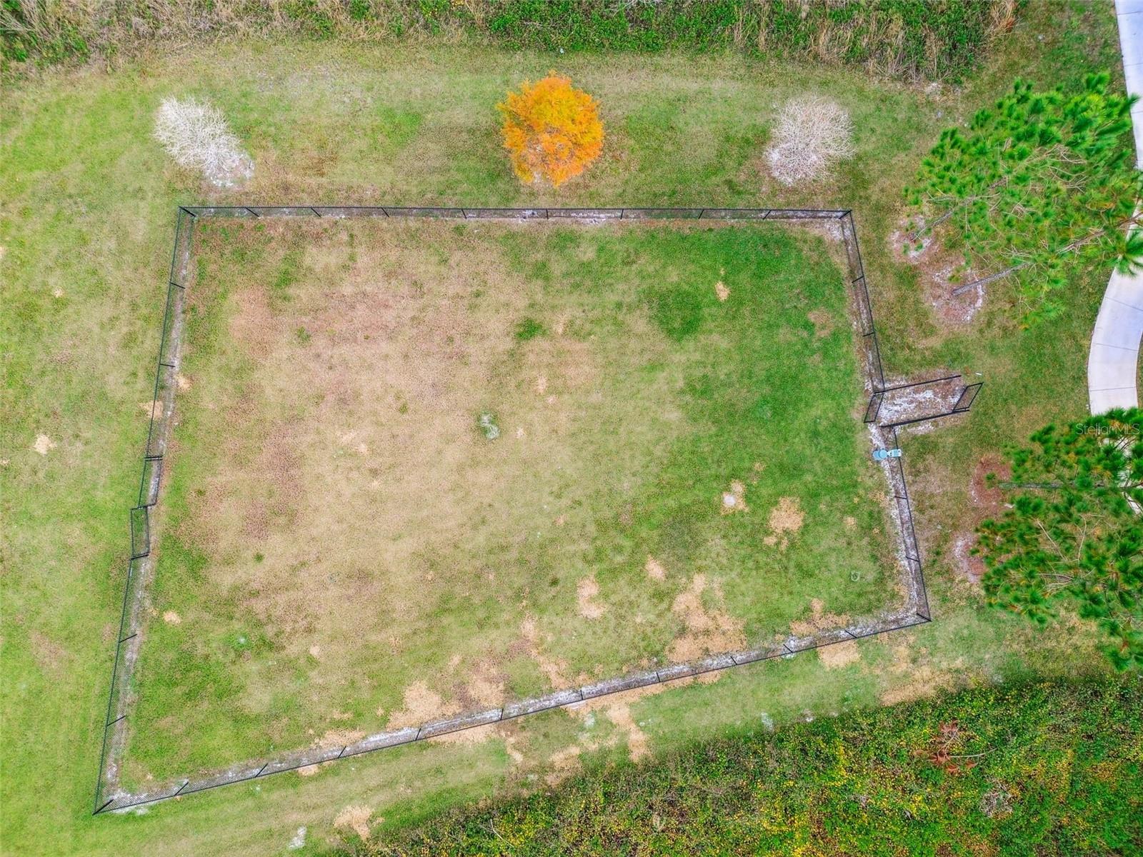 2950 LYTTON HALL DR, ZEPHYRHILLS, FL, 33540