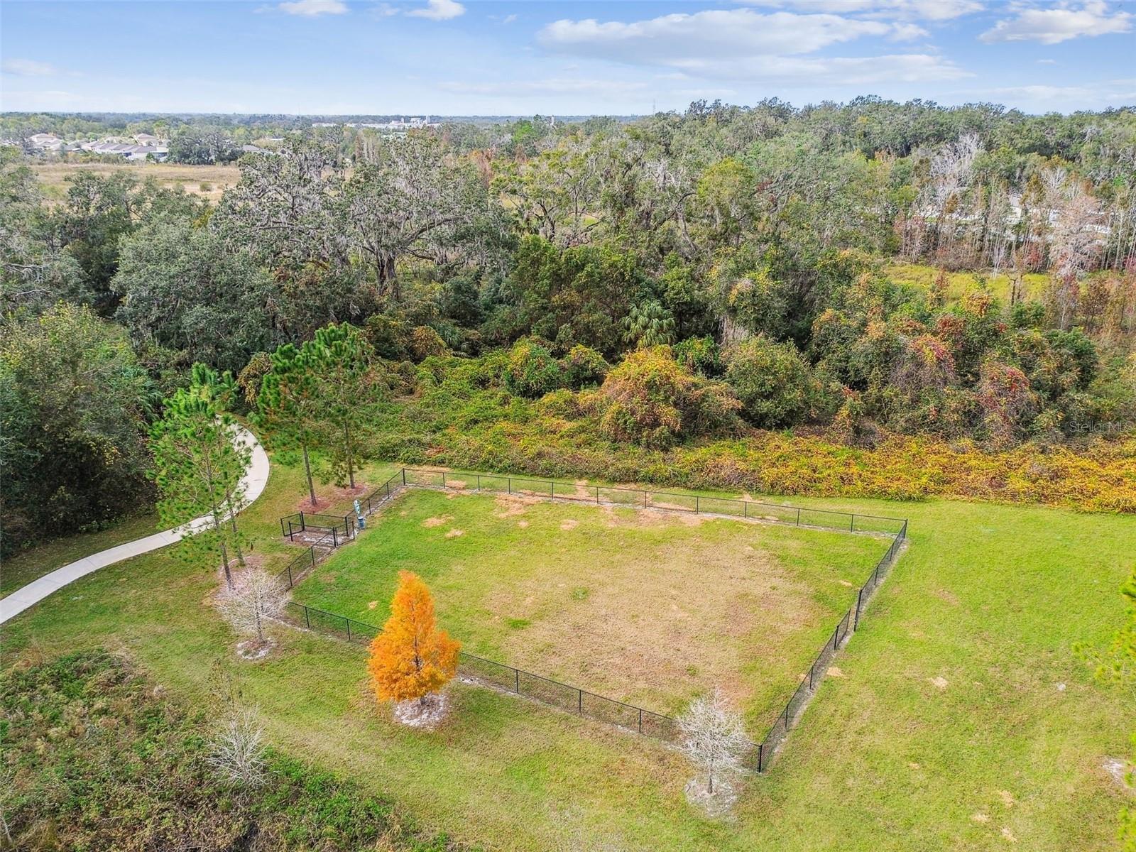 2950 LYTTON HALL DR, ZEPHYRHILLS, FL, 33540