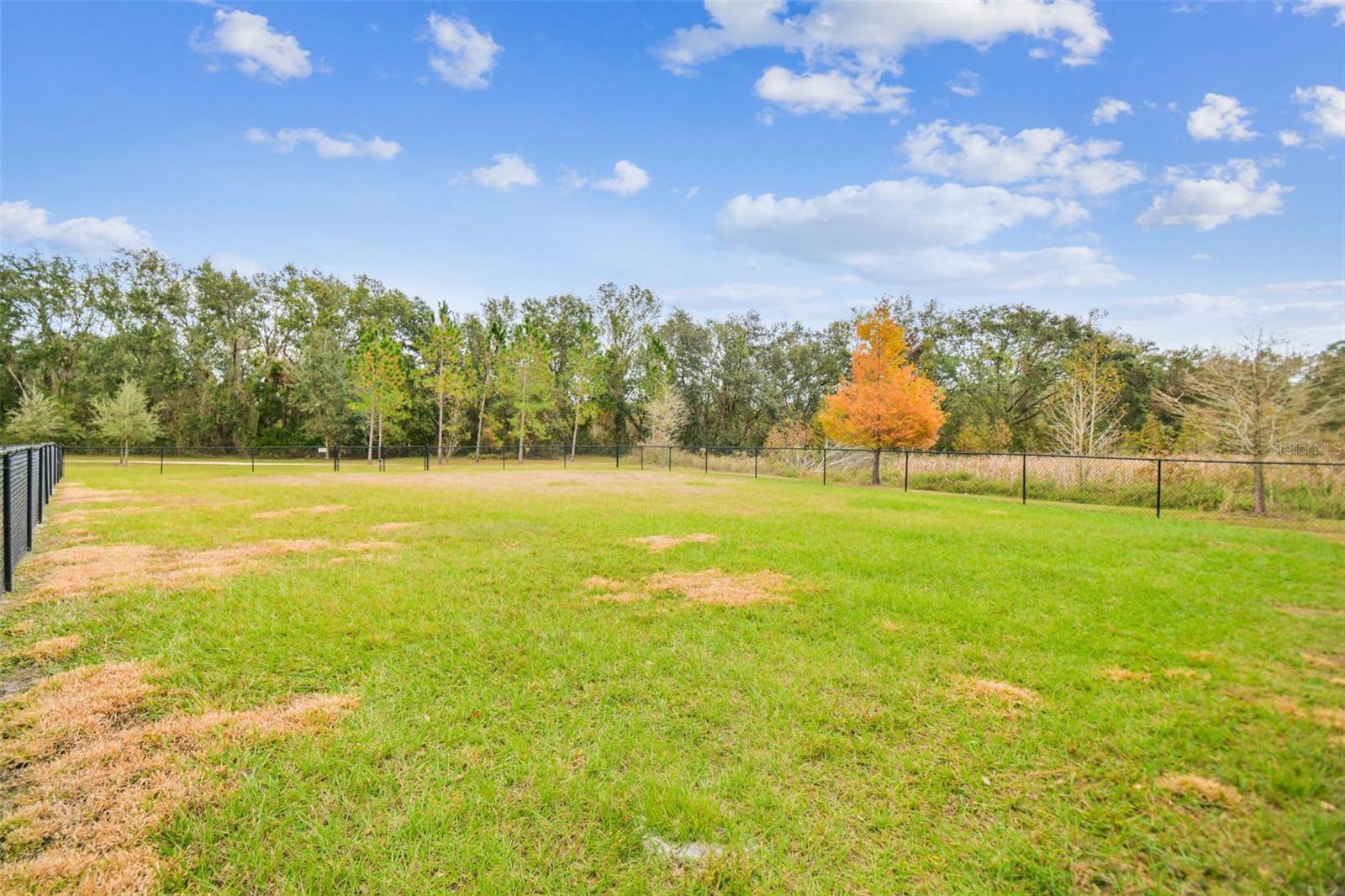 2950 LYTTON HALL DR, ZEPHYRHILLS, FL, 33540