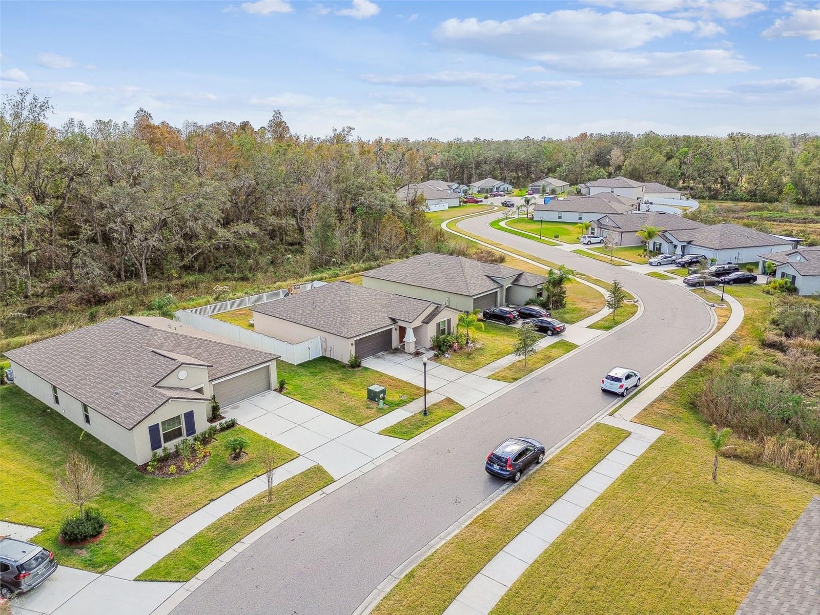 2950 LYTTON HALL DR, ZEPHYRHILLS, FL, 33540