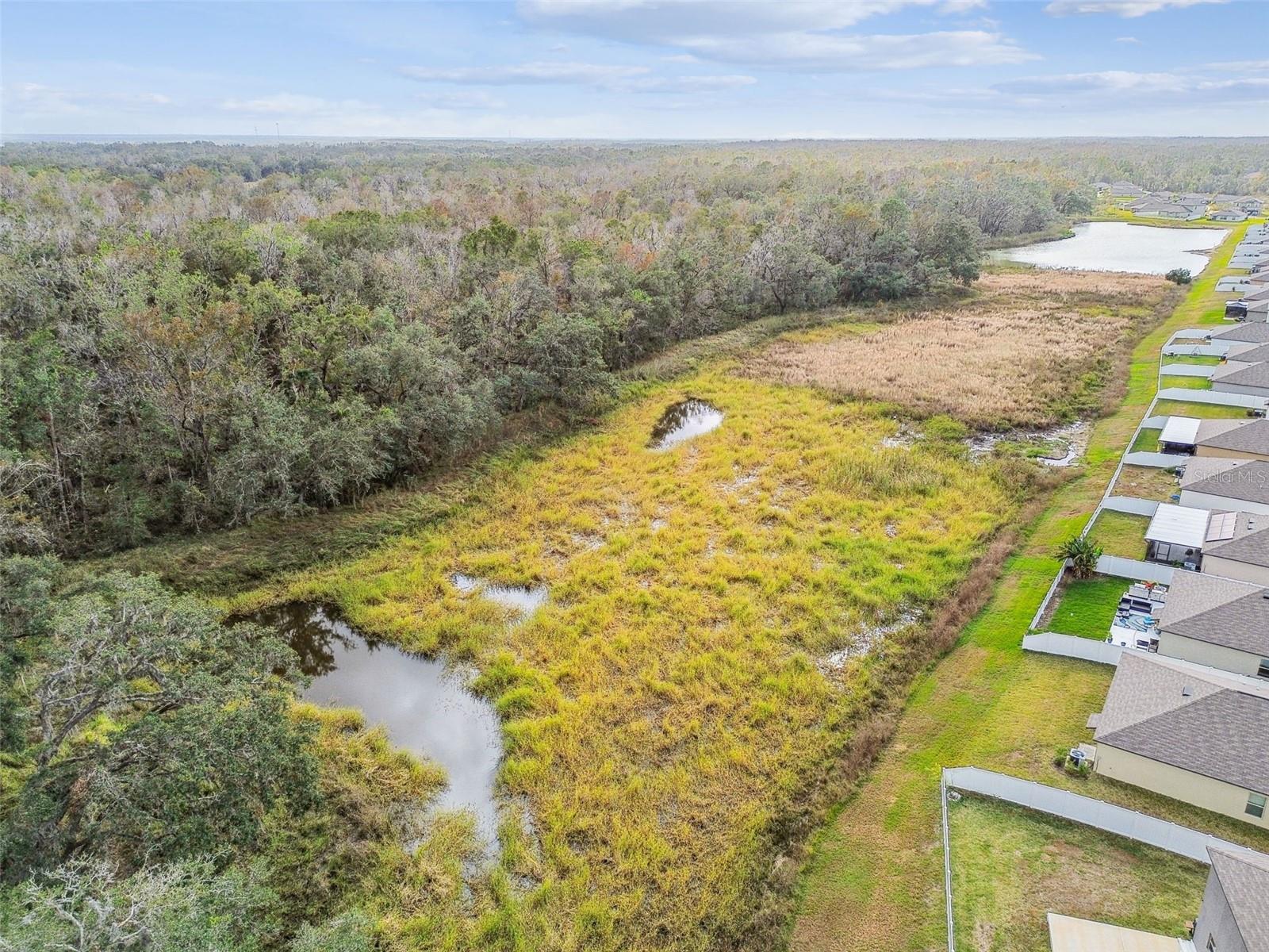 2950 LYTTON HALL DR, ZEPHYRHILLS, FL, 33540