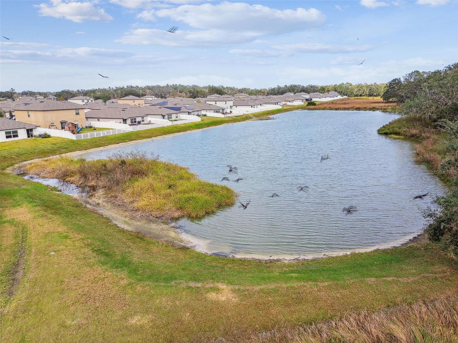 2950 LYTTON HALL DR, ZEPHYRHILLS, FL, 33540