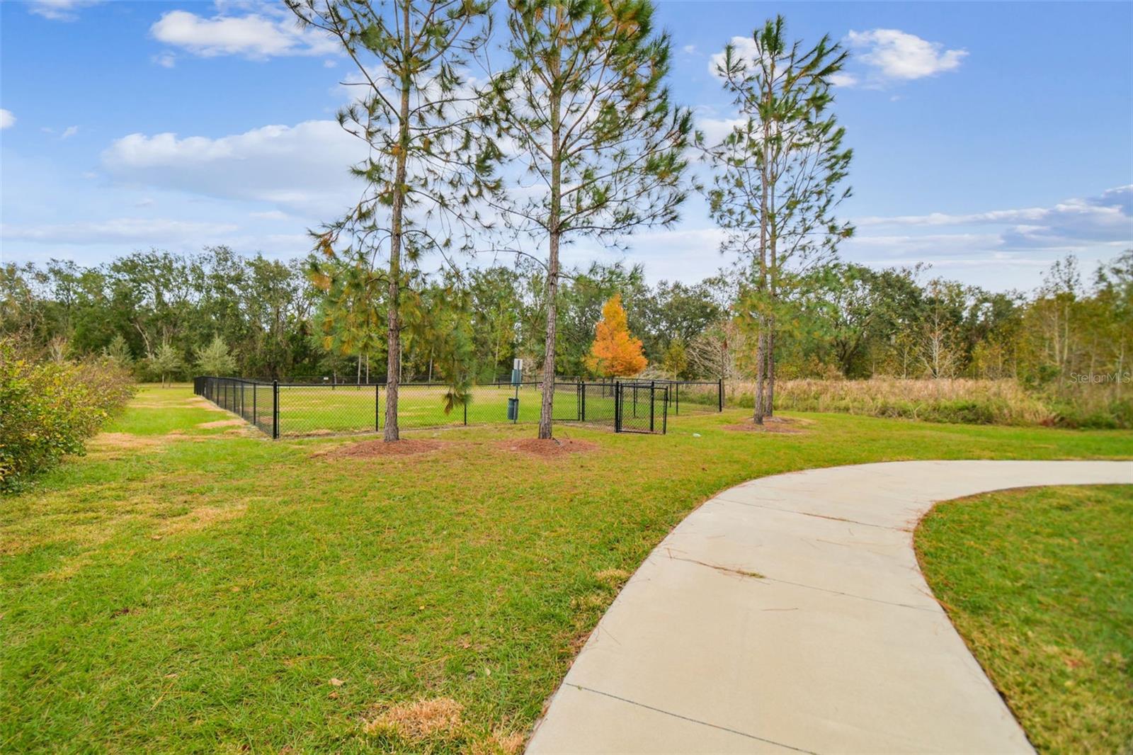 2950 LYTTON HALL DR, ZEPHYRHILLS, FL, 33540