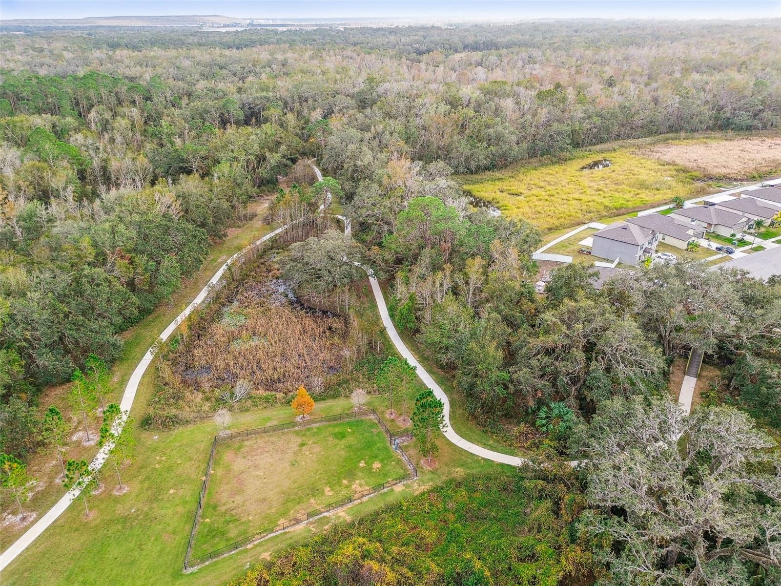 2950 LYTTON HALL DR, ZEPHYRHILLS, FL, 33540