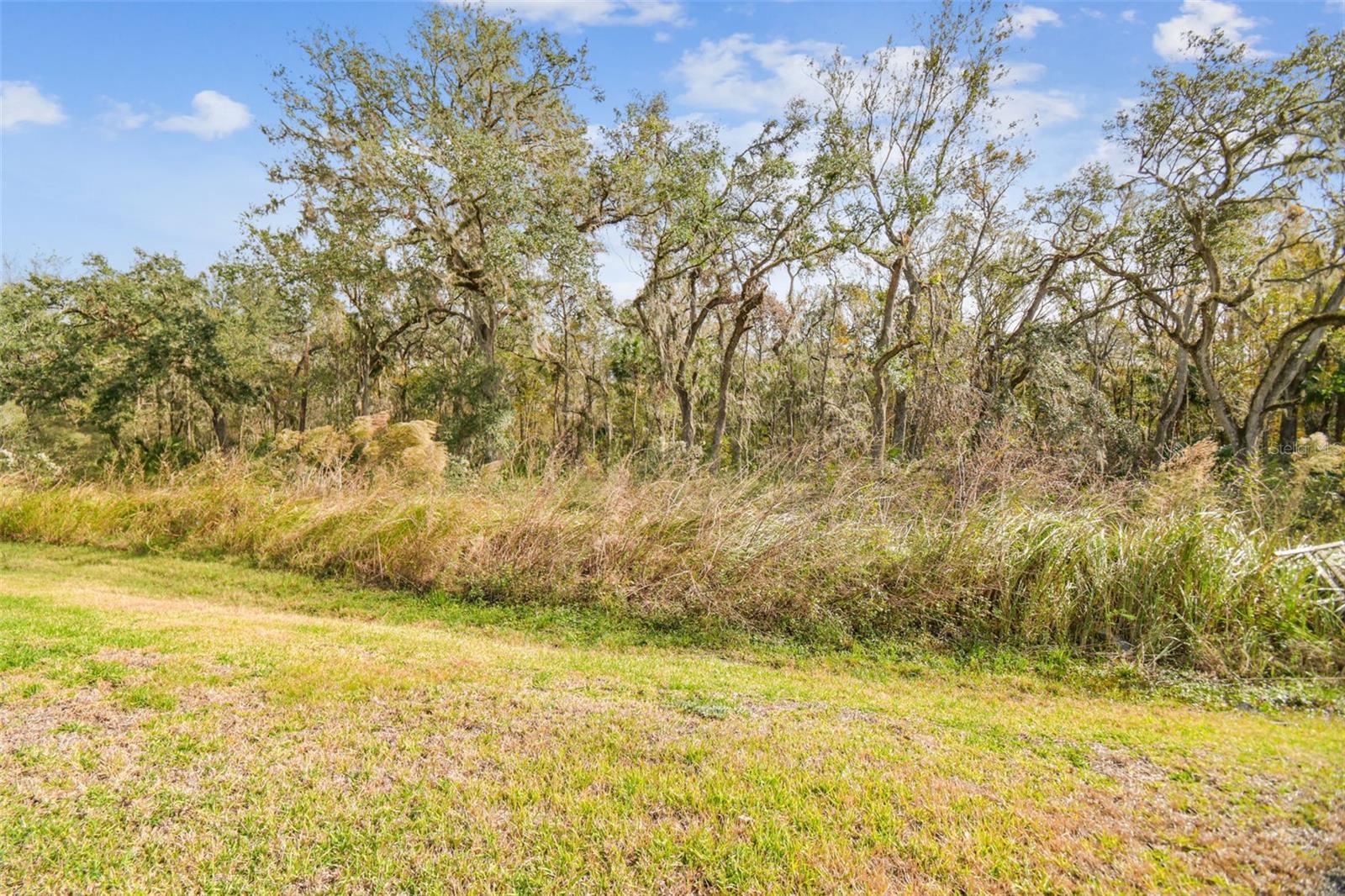 2950 LYTTON HALL DR, ZEPHYRHILLS, FL, 33540