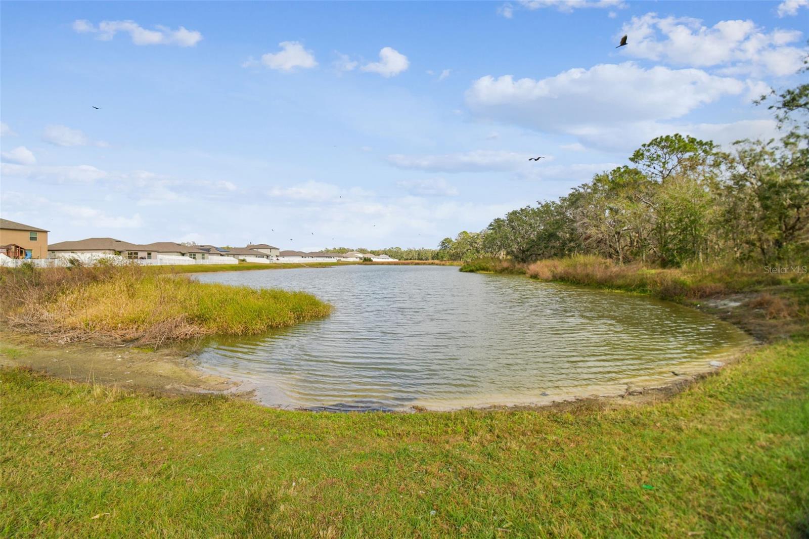 2950 LYTTON HALL DR, ZEPHYRHILLS, FL, 33540