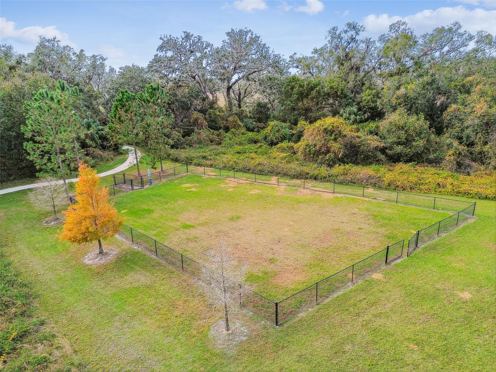 2950 LYTTON HALL DR, ZEPHYRHILLS, FL, 33540