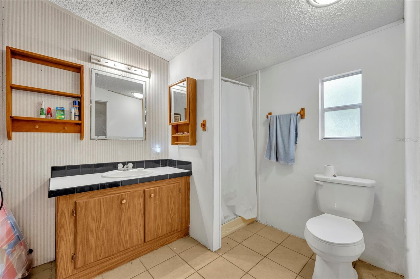 169 NE 166TH CT, SILVER SPRINGS, FL, 34488
