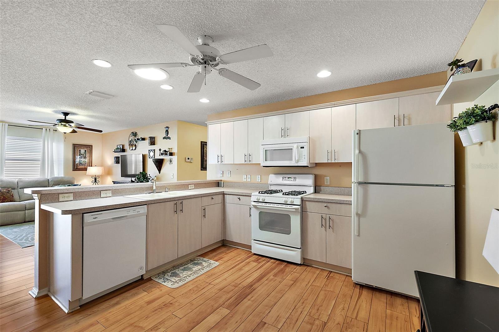 8173 SE 169TH PALOWNIA LOOP, THE VILLAGES, FL, 32162