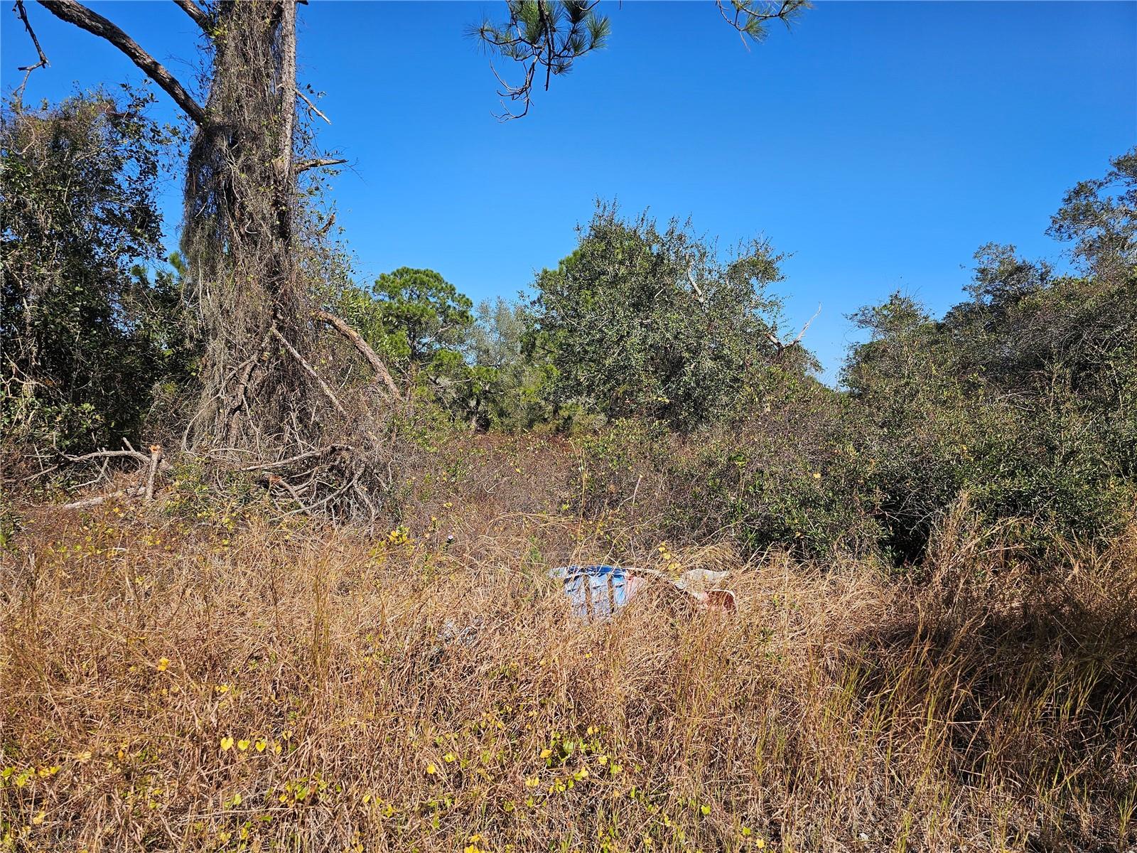 406 HOLLOW LN, LAKE PLACID, FL, 33852