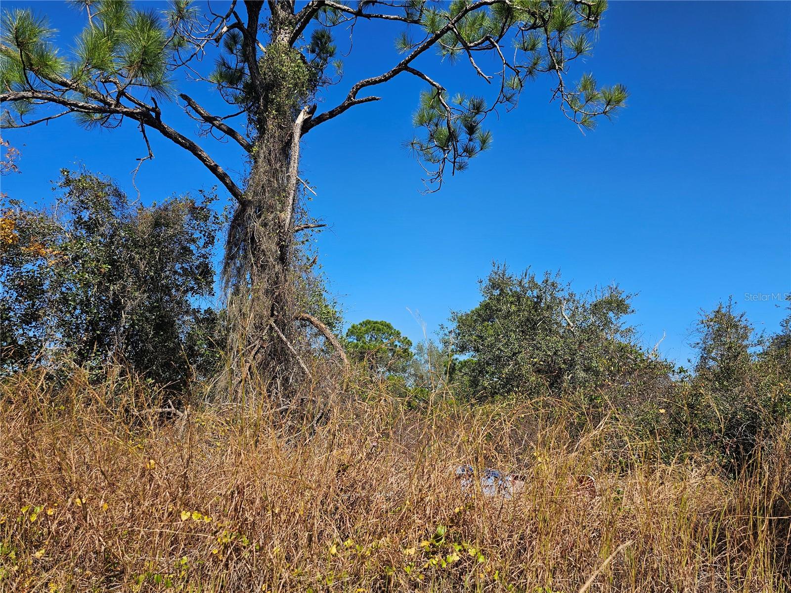 406 HOLLOW LN, LAKE PLACID, FL, 33852