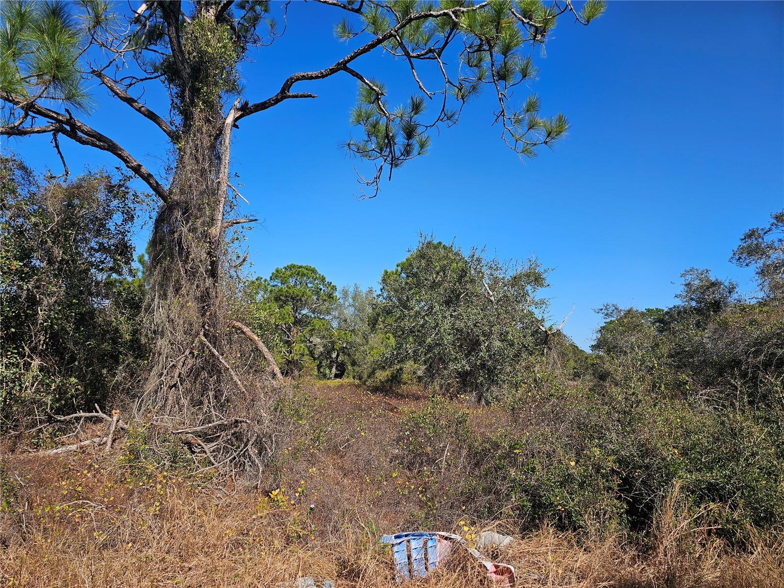 406 HOLLOW LN, LAKE PLACID, FL, 33852