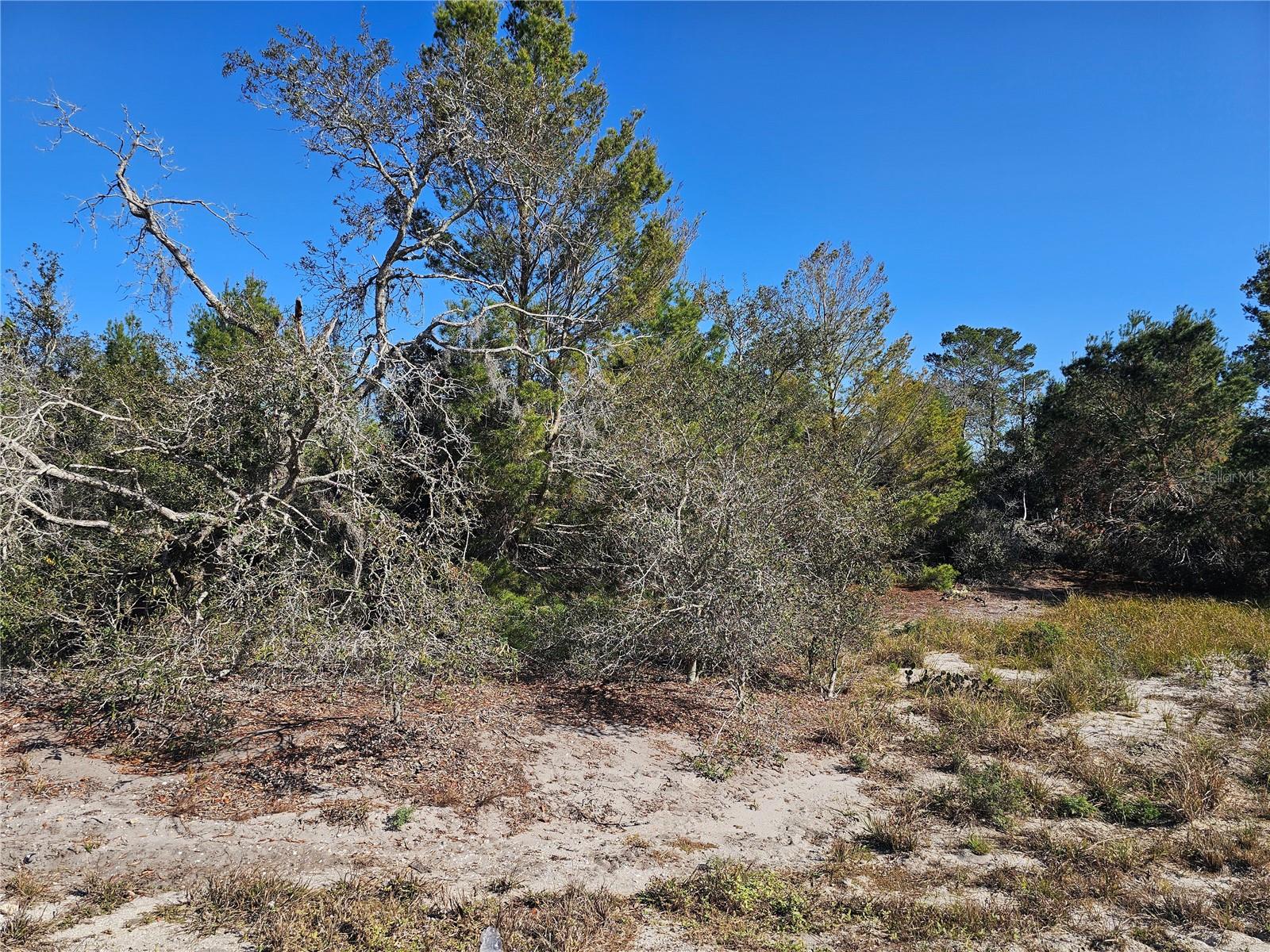 560 MORNINGSIDE DR, LAKE PLACID, FL, 33852