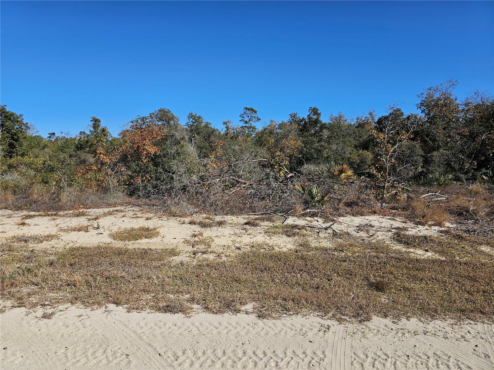 680 MORNINGSIDE DR, LAKE PLACID, FL, 33852