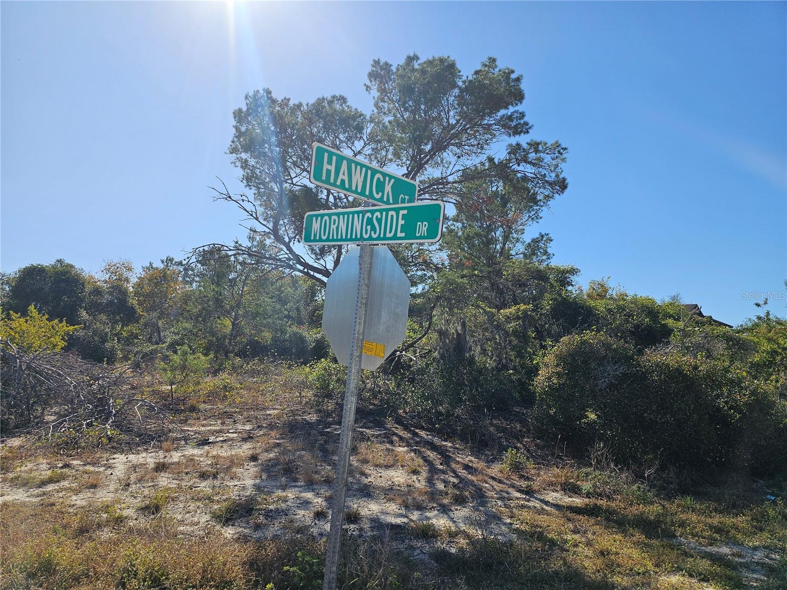 680 MORNINGSIDE DR, LAKE PLACID, FL, 33852