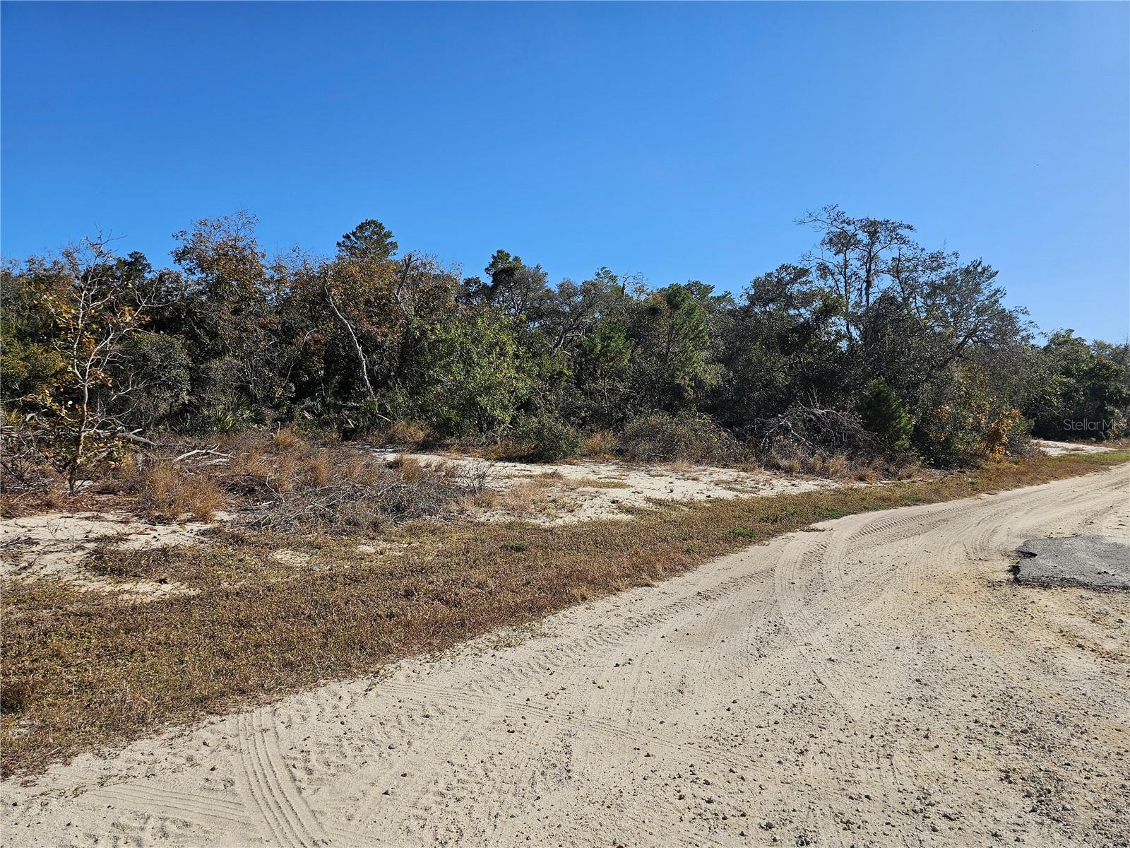 680 MORNINGSIDE DR, LAKE PLACID, FL, 33852