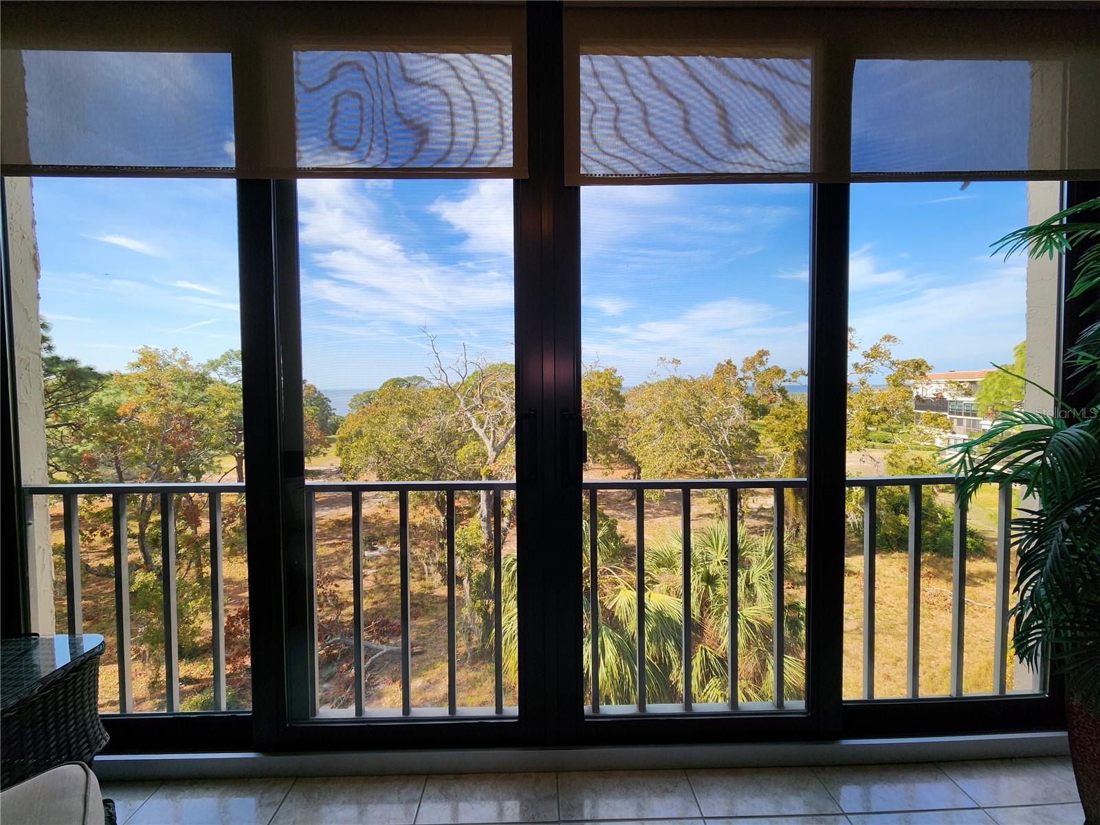 407 TARPON PT #407, TARPON SPRINGS, FL, 34689