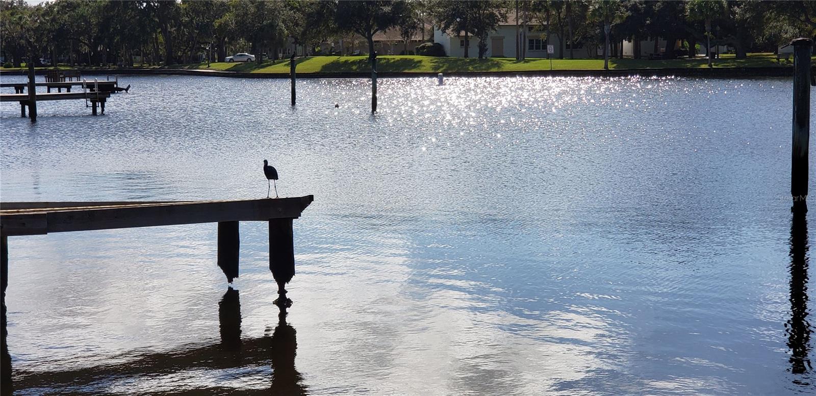 407 TARPON PT #407, TARPON SPRINGS, FL, 34689