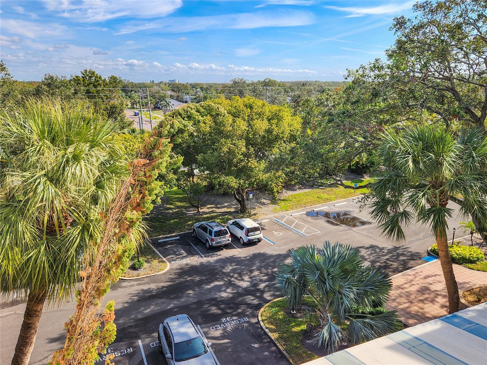 407 TARPON PT #407, TARPON SPRINGS, FL, 34689