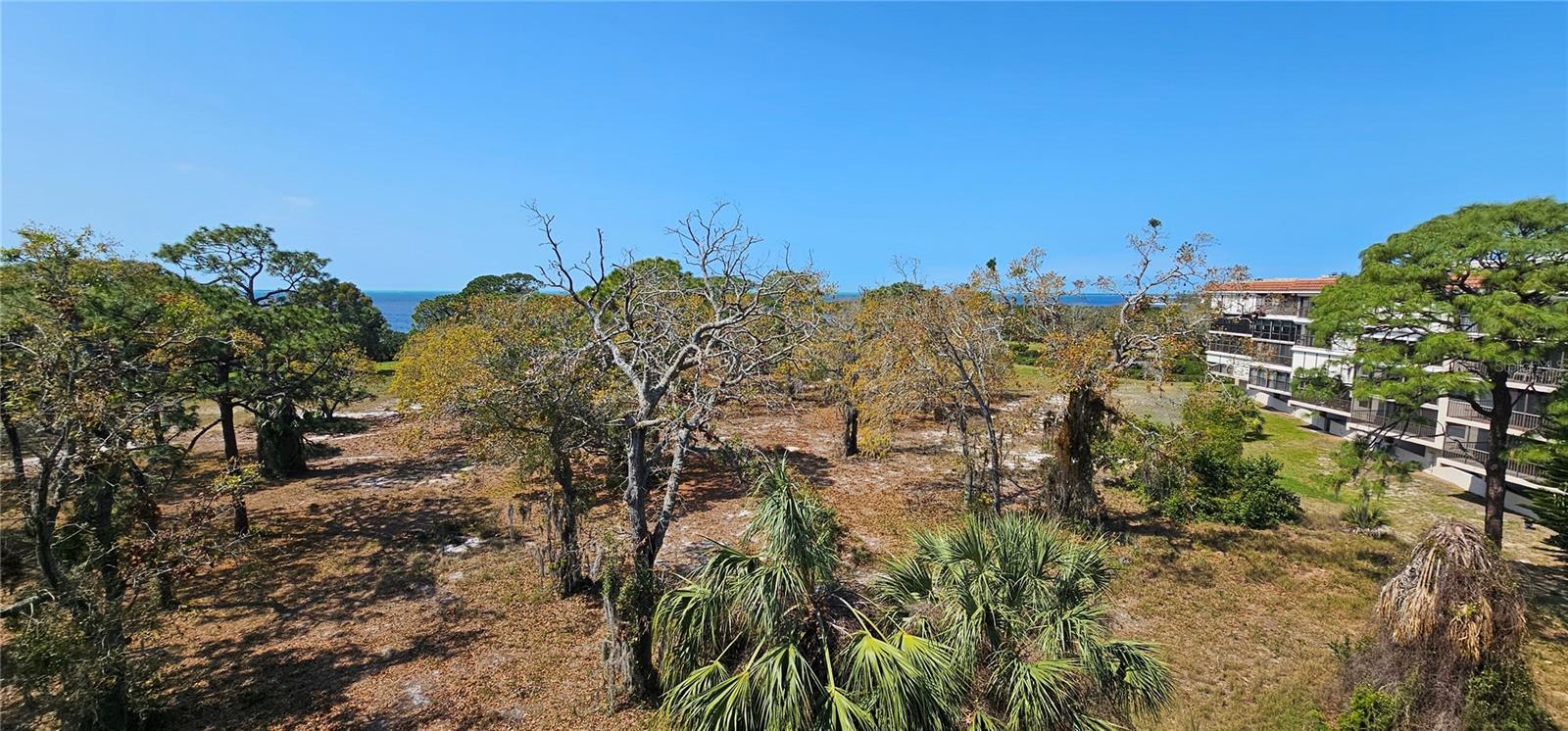 407 TARPON PT #407, TARPON SPRINGS, FL, 34689