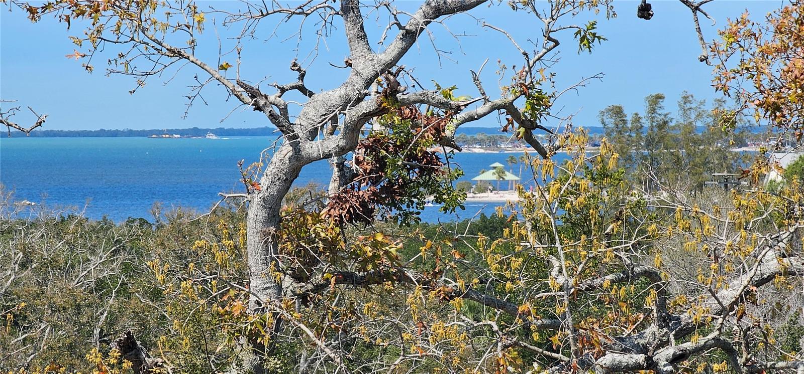 407 TARPON PT #407, TARPON SPRINGS, FL, 34689