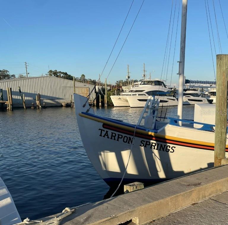 407 TARPON PT #407, TARPON SPRINGS, FL, 34689