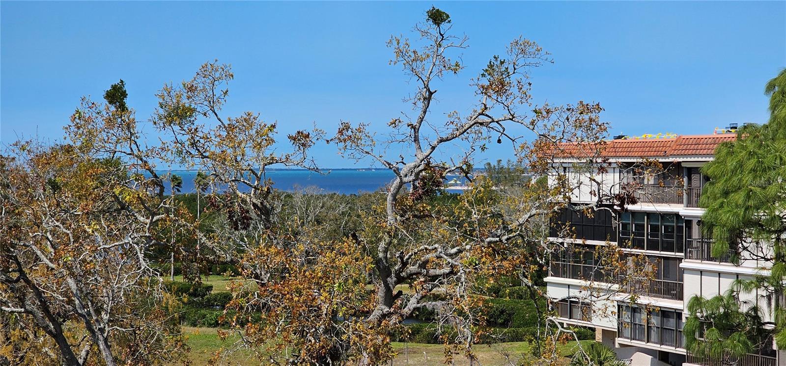 407 TARPON PT #407, TARPON SPRINGS, FL, 34689