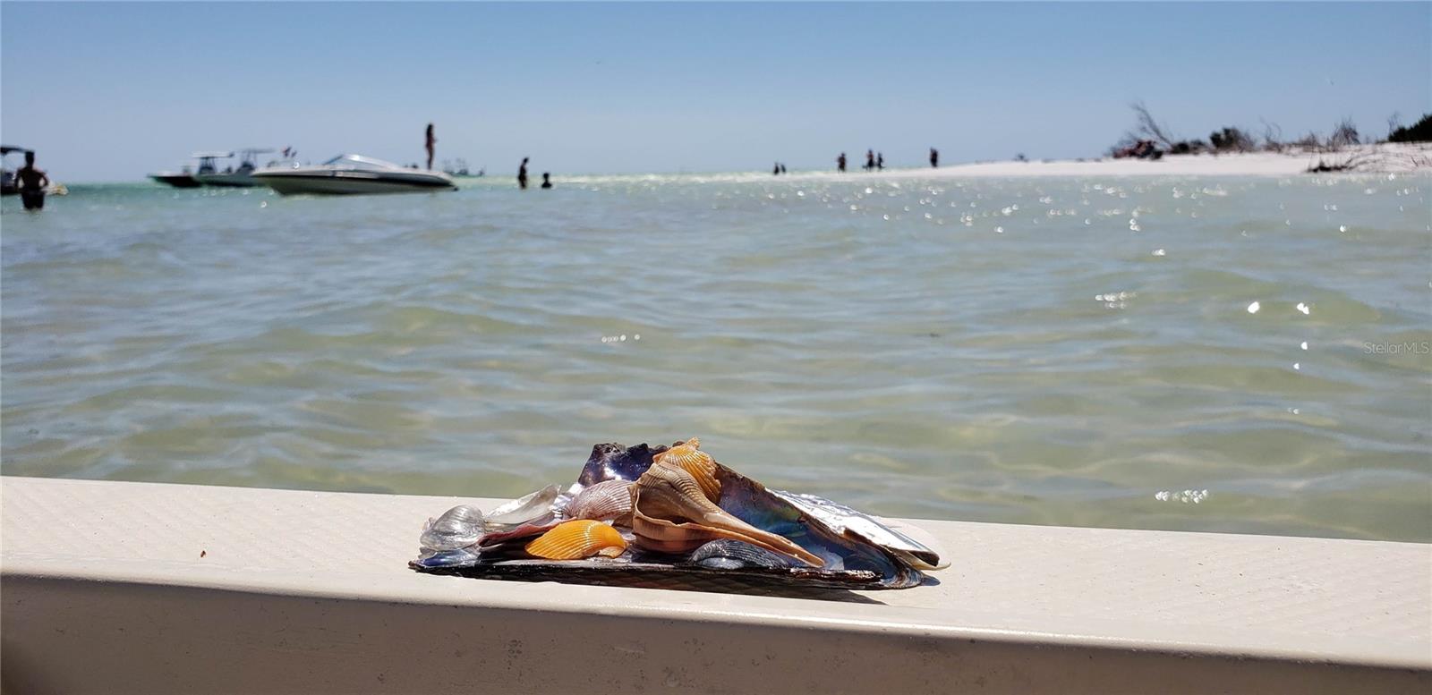 407 TARPON PT #407, TARPON SPRINGS, FL, 34689