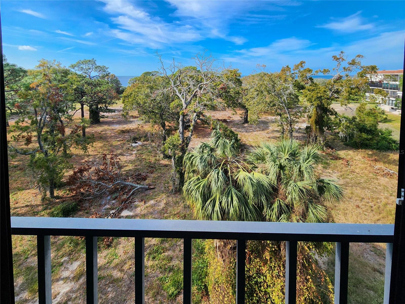 407 TARPON PT #407, TARPON SPRINGS, FL, 34689