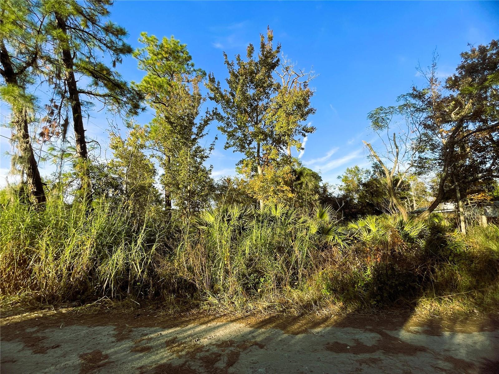 0 SR-19, ALTOONA, FL, 32702