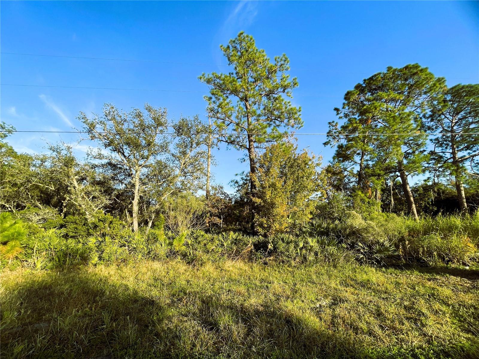 0 SR-19, ALTOONA, FL, 32702