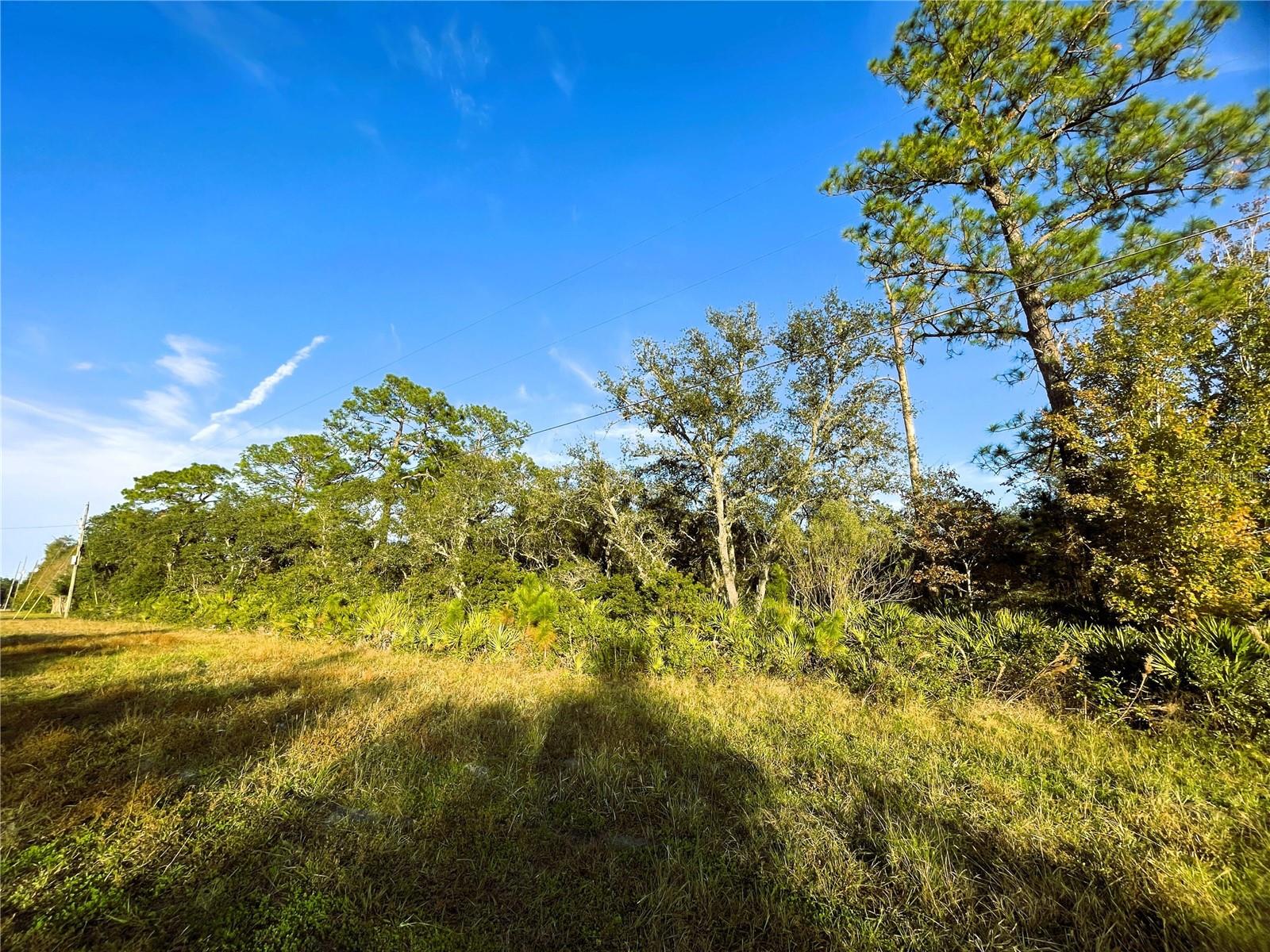 0 SR-19, ALTOONA, FL, 32702