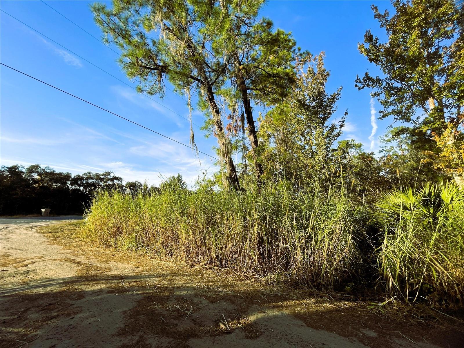0 SR-19, ALTOONA, FL, 32702