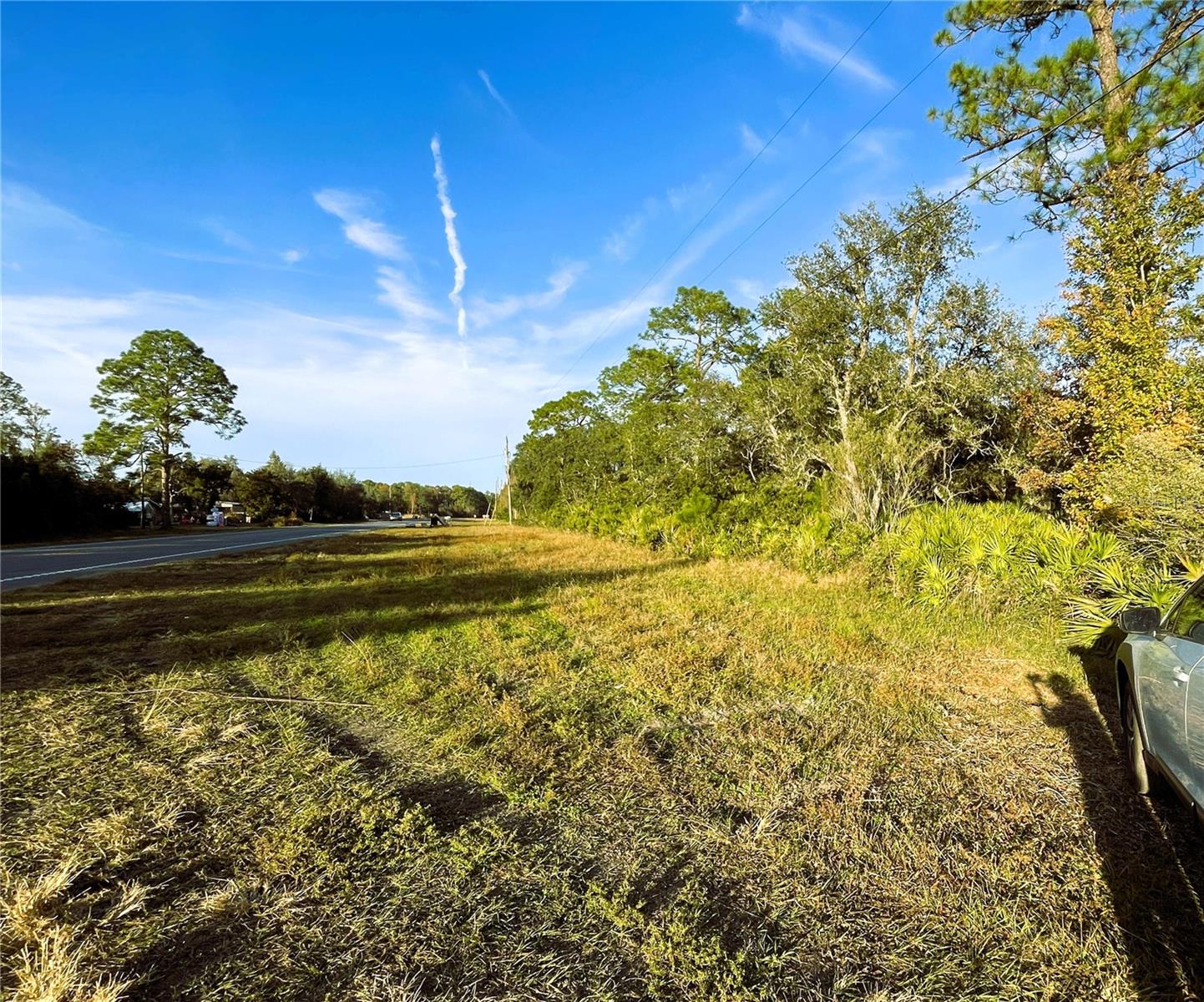 0 SR-19, ALTOONA, FL, 32702